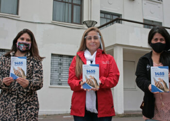 Autoridades inician conmemoración del Mes de la No Violencia en Contra de la Mujer en Los Lagos.