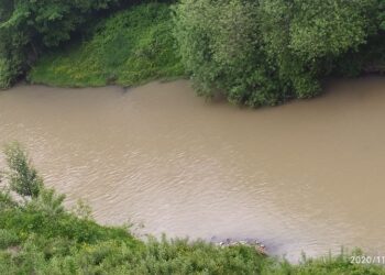 #Osorno: AHORA Denuncian contaminación al Río Damas.