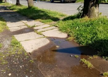 CONCEJO MUNICIPAL ADJUDICÓ OBRAS DE REPOSICIÓN DE VEREDAS.