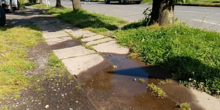 CONCEJO MUNICIPAL ADJUDICÓ OBRAS DE REPOSICIÓN DE VEREDAS.