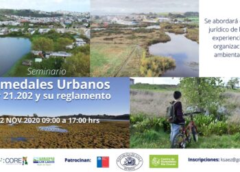 Invitan a Seminario sobre la ley que protege los Humedales Urbanos.