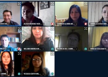 Vecinos realizan cursos de capacitación gratuitos y online con apoyo de Saesa.