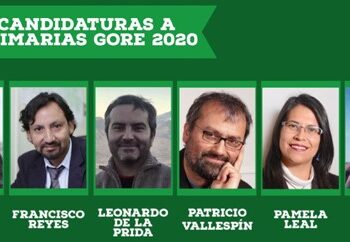 Oposición definirá este domingo su candidato a la Gobernación Regional en Los Lagos