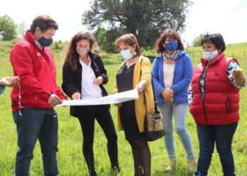 130 familias serán beneficiadas con Proyecto Habitacional del comité Las Golondrinas en Entre Lagos