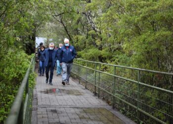 Se inician obras de mejoramiento de senderos y pasarelas en los Saltos del Petrohué.