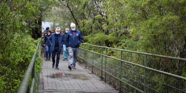Se inician obras de mejoramiento de senderos y pasarelas en los Saltos del Petrohué.