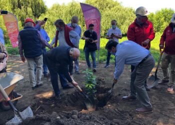 Parque Alberto Hott de Osorno ya es una realidad y comienza a tomar forma