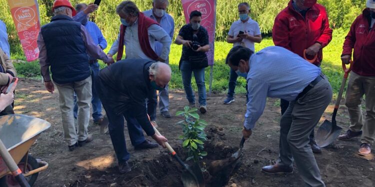 Parque Alberto Hott de Osorno ya es una realidad y comienza a tomar forma