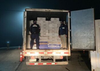 Un camión con más de 10 toneladas de merluza austral incautó en Ancud