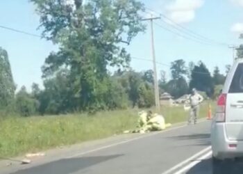 ATROPELLAN A UNA PERSONA EN RUTA U-55.
