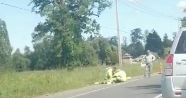 ATROPELLAN A UNA PERSONA EN RUTA U-55.