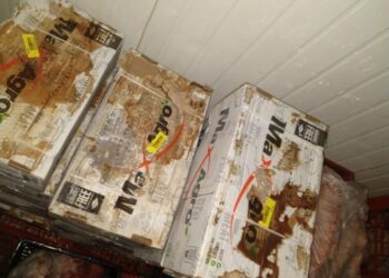 Autoridad Sanitaria decomisó productos en mal estado en fábrica de cecinas de Purranque