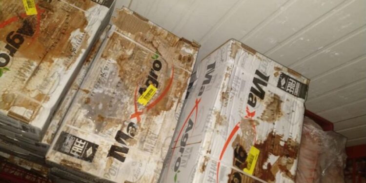Autoridad Sanitaria decomisó productos en mal estado en fábrica de cecinas de Purranque