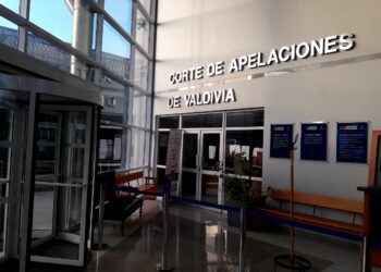 Corte de Apelaciones de Valdivia resolverá cautelares de imputados por lanzar contra Jadué en Osorno