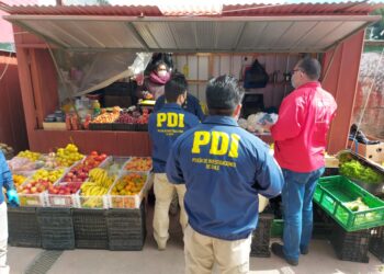 Autoridades regionales de Los Lagos realizaron operativo de fiscalizaciones en 3 comunas de Chiloé