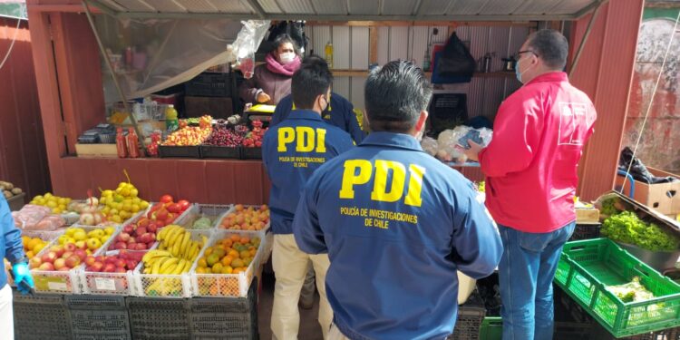 Autoridades regionales de Los Lagos realizaron operativo de fiscalizaciones en 3 comunas de Chiloé