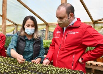 CONADI entrega $289 millones para riego y drenaje a comunidades del Programa Chile Indígena en la Región de Los Lagos