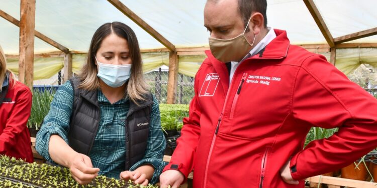 CONADI entrega $289 millones para riego y drenaje a comunidades del Programa Chile Indígena en la Región de Los Lagos