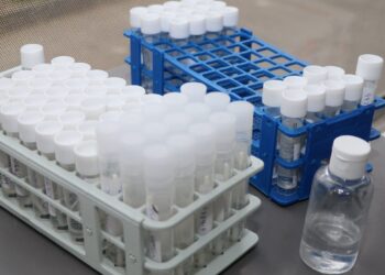 Servicio de Salud Osorno habilita plataforma online para ver resultados PCR .