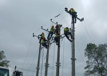 Luz Osorno desarrolla proyecto de gran envergadura en Trafún y alrededores para mejorar la red eléctrica