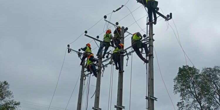 Luz Osorno desarrolla proyecto de gran envergadura en Trafún y alrededores para mejorar la red eléctrica