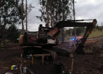 Parque Alberto Hott de Osorno ya es una realidad y comienza a tomar forma