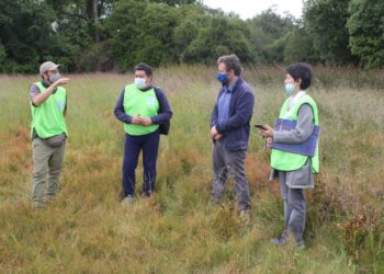 Seremi del Medio ambiente visitó humedales en Osorno