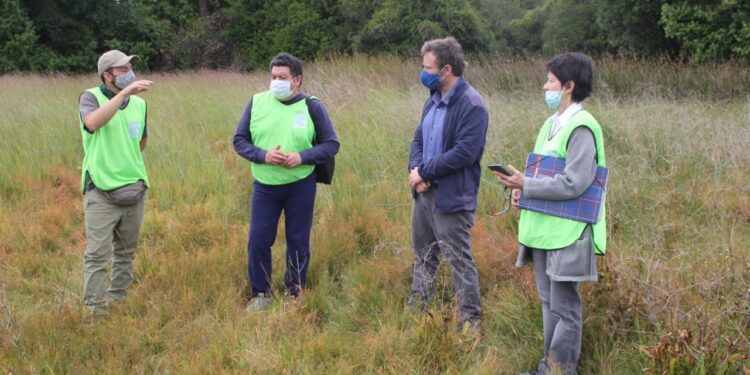 Seremi del Medio ambiente visitó humedales en Osorno