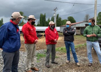 Abiertas las inscripciones para el Censo Agropecuario y Forestal del INE.