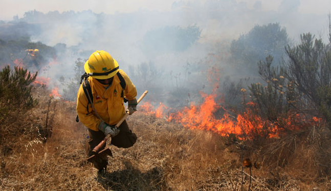 Fiscalía: CGE ya ha pagado cerca de $11.600 millones a víctimas de incendios forestales en O’Higgins