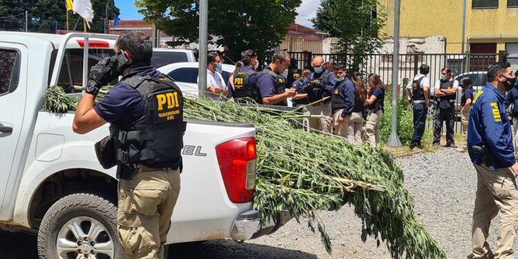 Fiscal regional dijo que encontraron una submetralladora UZI en allanamiento en Ercilla