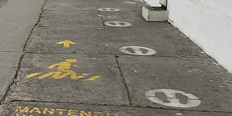 Colegio Médico Puerto Montt pide agilizar vacunas para equipos de salud de la Región de Los Lagos