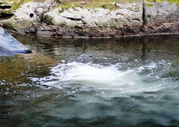 Detectan foco de contaminación en el río Damas