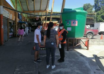 Llaman a respetar las normas de seguridad y de salud en visitas a ferias libres