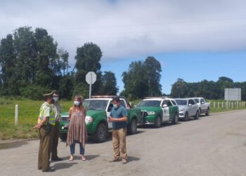 Con 4 puntos de control Puerto Octay combate presencia de visitantes en cuarentena