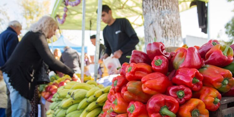 IPC: Precios experimentaron alza de 3% durante 2020