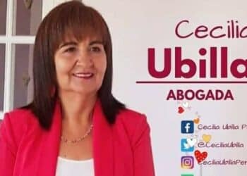 Abogada Cecilia Ubilla: “Conservador de Bienes Raíces de Osorno está en la edad de piedra”