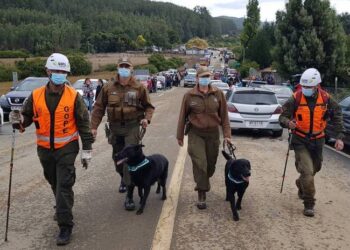 Activamente URAT Osorno participa de la Búsqueda de Tomás en el Bio Bio