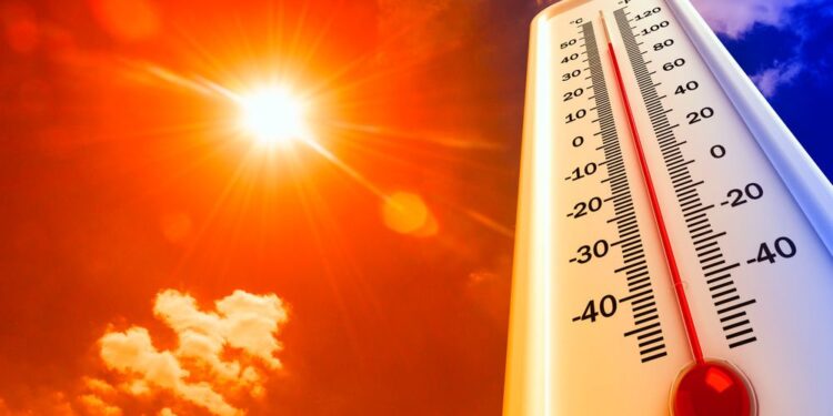 Temperaturas bordearan los 37 grados en 4 regiones del sur de Chile