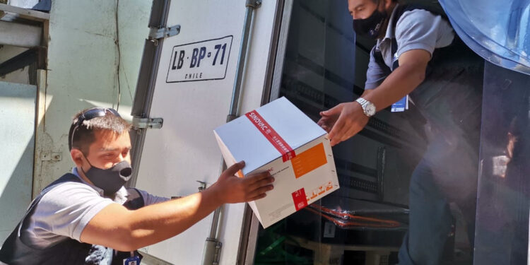 Llegaron 24 mil dosis de vacunas contra el Covid a la provincia de Osorno