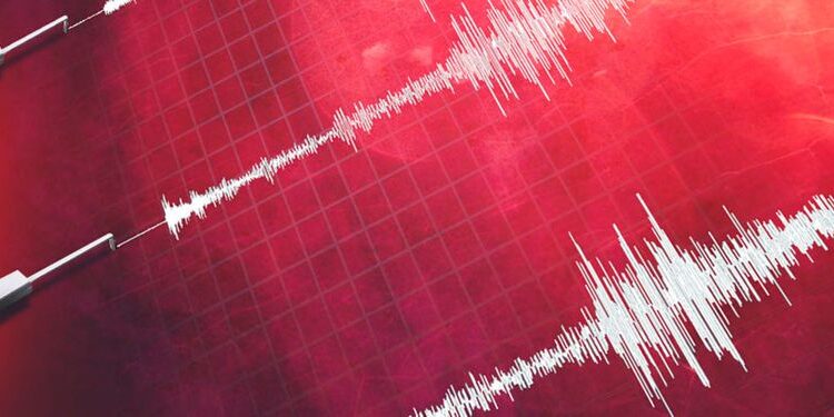 Terremoto en Japón encendió las alarmas en Chile: Shoa descarta tsunami