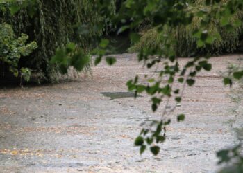Denuncian nuevo foco de contaminación en el río Damas