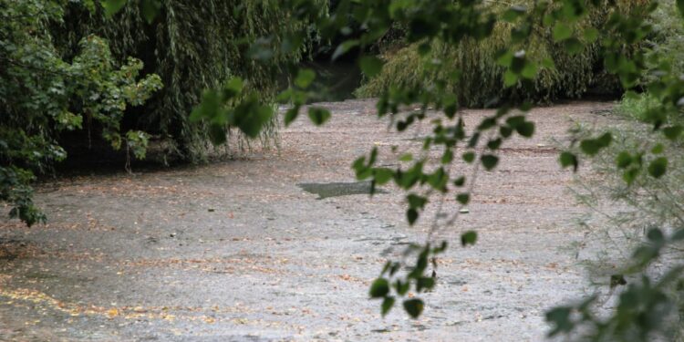 Denuncian nuevo foco de contaminación en el río Damas