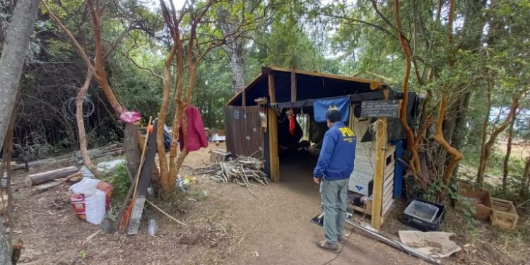 Investigan asesinato de una joven en Panguipulli región de Los Ríos