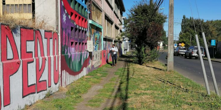 27 mil metros cuadrados de veredas serán repuestas en Osorno