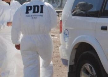 Investigan muerte de mujer que cayó a un precipicio en un sector rural de Puyehue