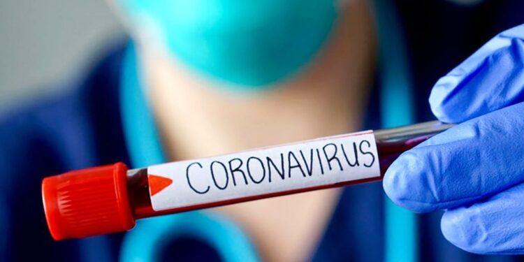 Más de 25 mil recuperados de covid-19 ha logrado la provincia de Llanquihue