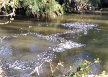 Pese a las denuncias siguen malos olores en Villa Los Notros Osorno