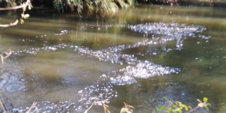 Pese a las denuncias siguen malos olores en Villa Los Notros Osorno