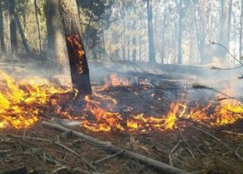Llaman a respetar la prohibición de quemas agrícolas por altas temperaturas